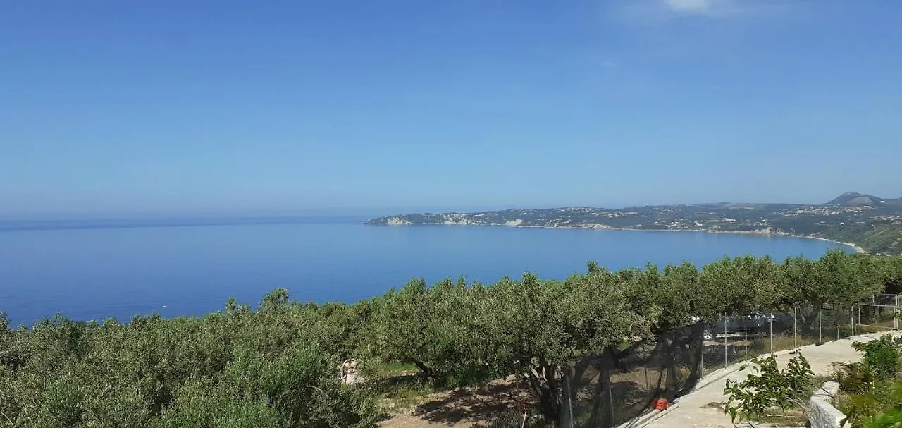 Liocharis Akro 1 Λουρδάτα