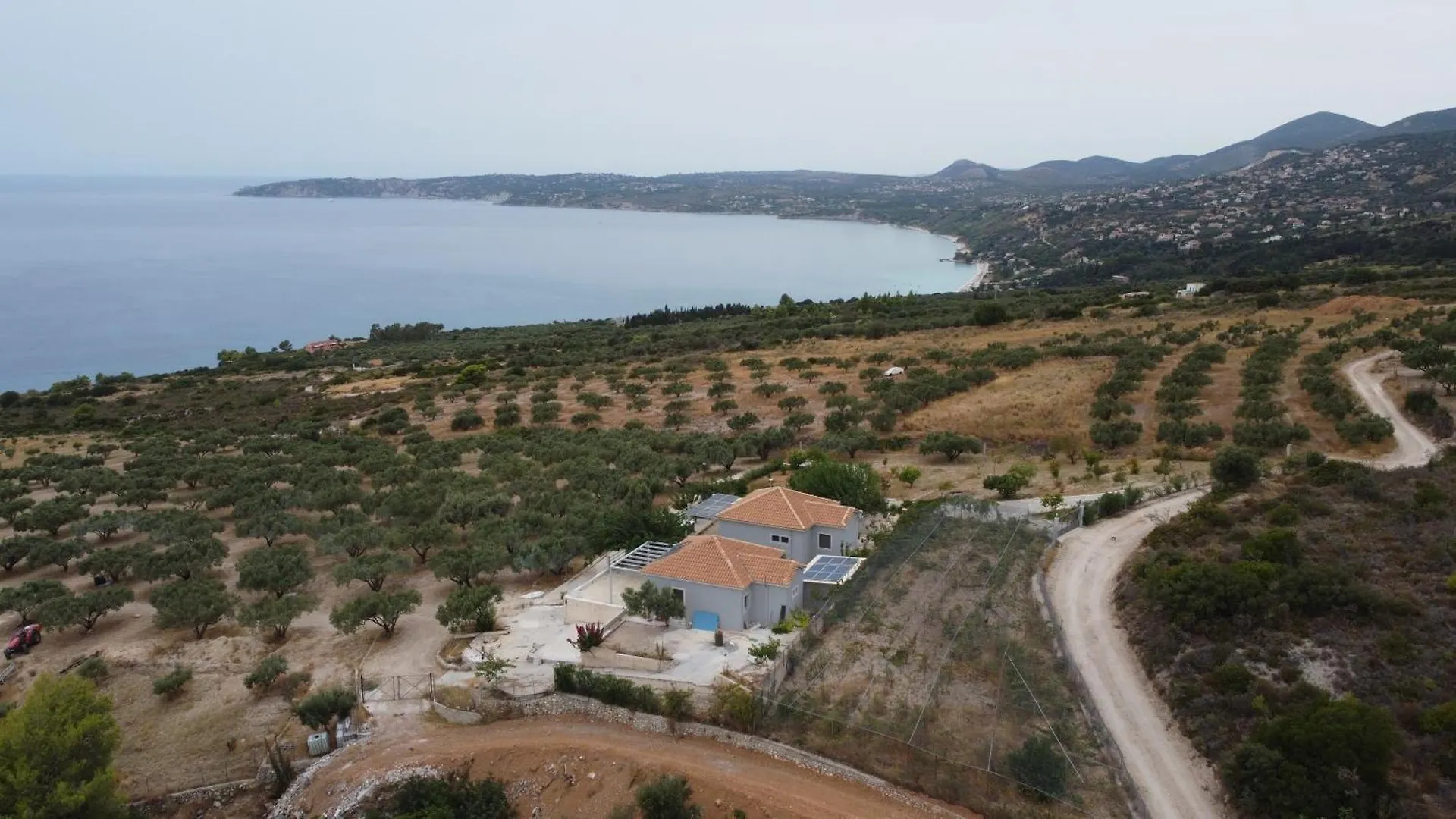Liocharis Akro 1 Λουρδάτα
